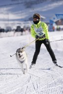 Lenk 2013